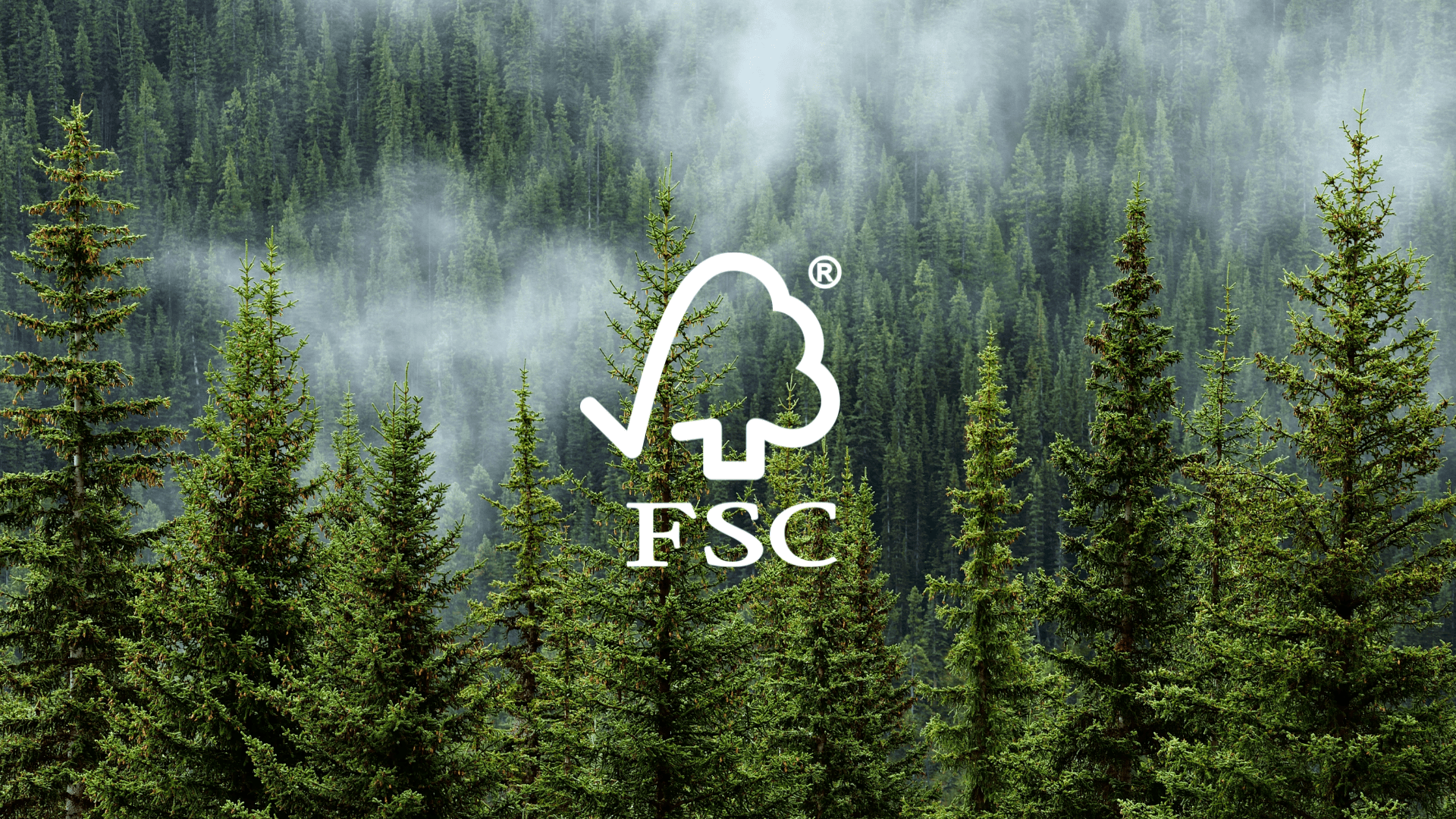 FSC certification logo overlaid on a lush, misty forest scene, symbolizing responsibly managed forests.